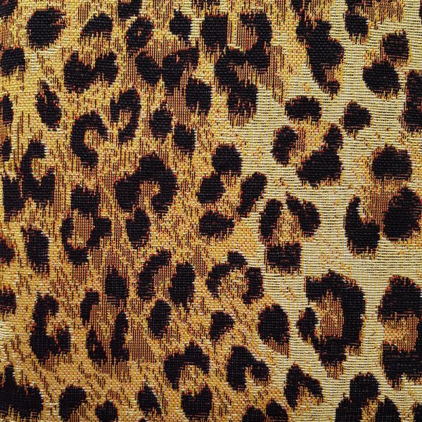 zoom-leopard-1000